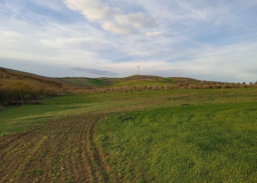 🌿 Terrain à vendre à Ras El Jebel – Bizerte 🌿
