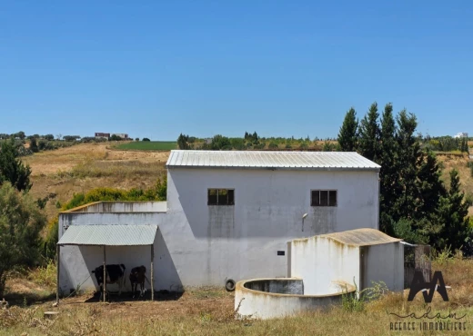Maison d'hote À Vendre à NABEUL - Maison d'Hôte  Korba - Immobiliere.tn - Photo 10
