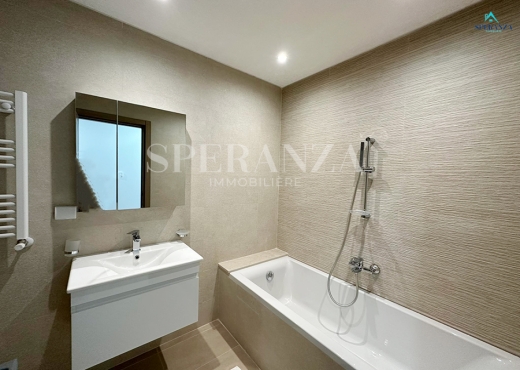 Location Appartement Gold S+2