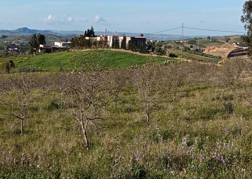 TERRAIN AGRICOLE A VENDRE