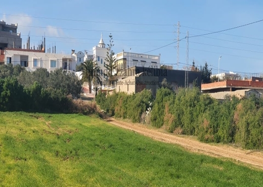 تقسيم في طريق شاطئ الزهراء