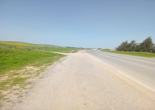 للبيع قطع أرض في سيدي ثابت-شرفش