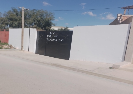 Vente petit jnen à la Soukra, Sfax