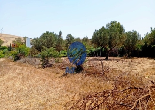 🌾 Terrain 2300 m² à Garia – Metline