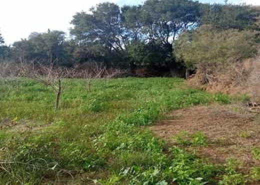 🌿 Terrain 1021 m² à Rafraf, Vue Mer