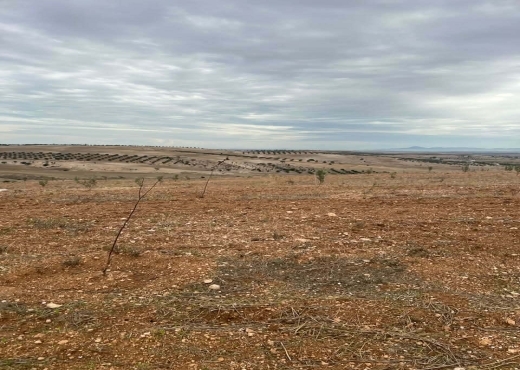 TERRAIN AGRICOLE A VENDRE