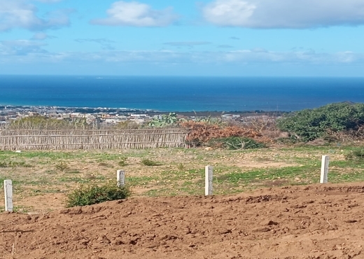 |🏝️ Vue mer + nature = coup de cœur garanti