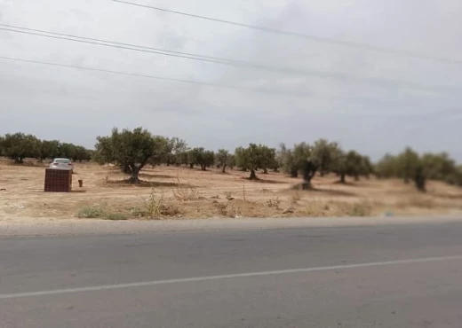 terrain À Vendre à MAHDIA - Un terrain à vocation industrielle - Immobiliere.tn