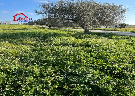 Une ferme à vendre