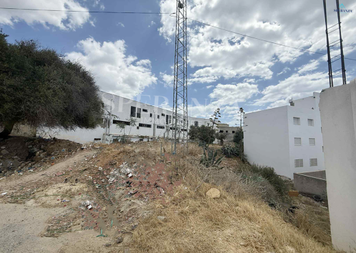 Vente Terrain Julian
