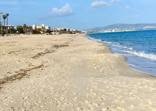 اراضي في الحمامات الجنوبية ابتدأ من  150د ا المتر a vendre