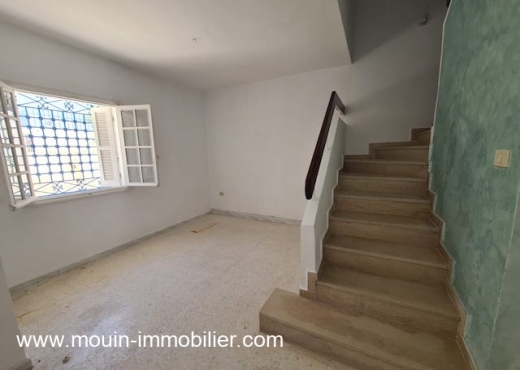 DUPLEX LES TULIPES AV1923