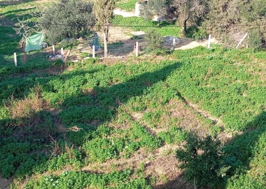Ferme à vendre à Ras Jebel – Bizerte ! 🏡