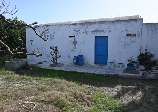 A vendre une ferme à Nabeul