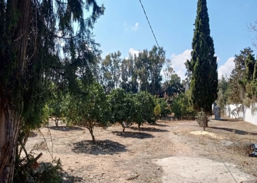 Ferme exceptionnelle située à Ras El Djebel
