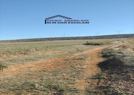 terrain près de la mer