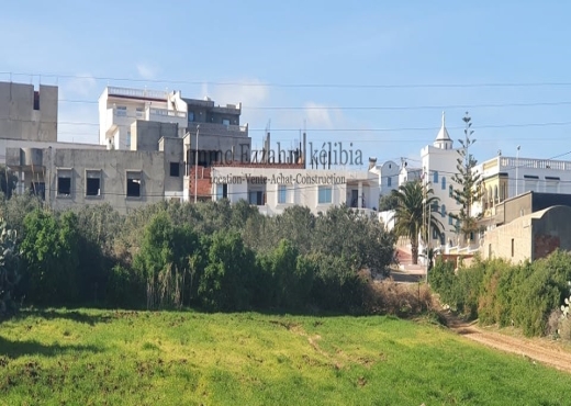 تقسيم في طريق شاطئ الزهراء