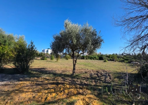 terrain À Vendre à NABEUL - Terrain Agricole 4 002 m²– Nabeul - Immobiliere.tn - Photo 8
