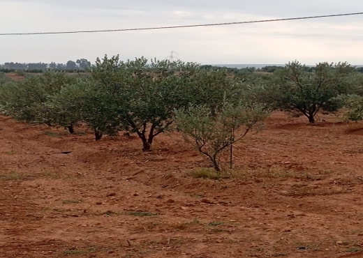 🚜 Terrain productif avec bâtiments