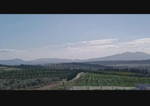 terrain À Vendre à ZAGHOUAN - société agricole à vendre - Immobiliere.tn