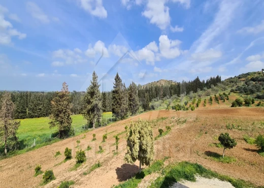 ferme À Vendre à ARIANA - AV Ferme avec Villa à Sidi Thabet - Immobiliere.tn