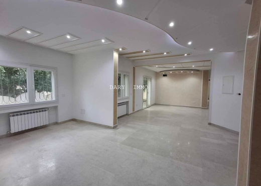 Appartement s+3
