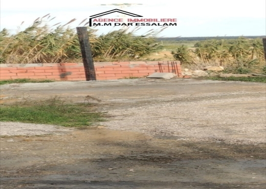 terrain À Vendre à NABEUL - terrain sur la route principal - Immobiliere.tn - Photo 4