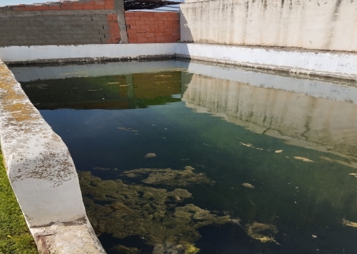 للبيع فيرمة لوز و زيتون و غلال أخرى