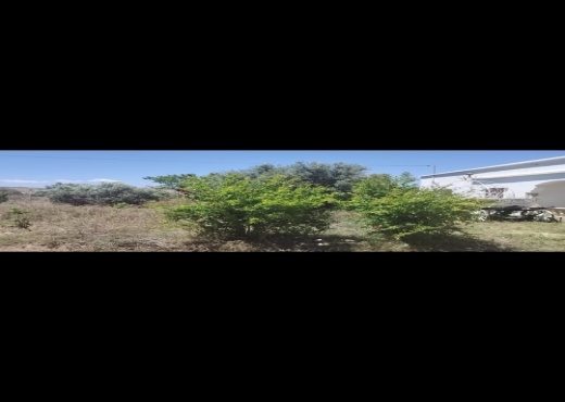 Belle villa plus 1400m hamammet