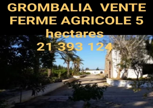 ferme À Vendre à NABEUL - A Vendre Ferme Grombalia - Immobiliere.tn - Photo 2