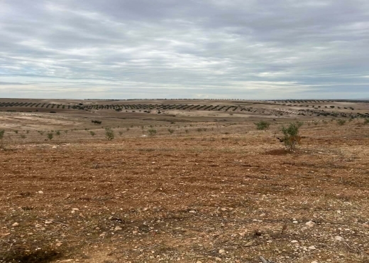 TERRAIN AGRICOLE A VENDRE