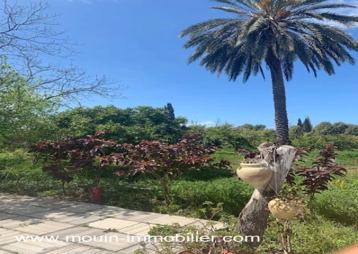 ferme À Vendre à NABEUL - Ferme Oliva T1230 Hammamet - Immobiliere.tn - Photo 6