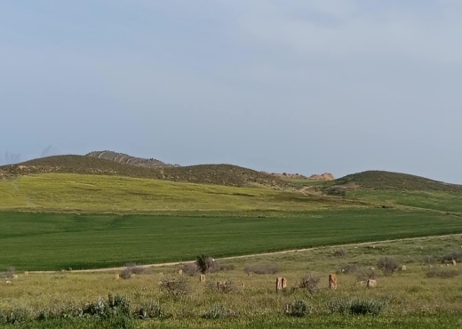 terrain