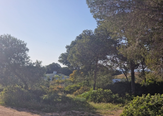 Terrain à Gammarth – El Marsa