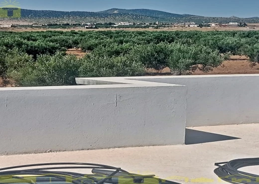 terrain À Vendre à NABEUL - 🌿 للبيع ضيعة فلاحية بطريق بوفيشة 🌿 - Immobiliere.tn - Photo 2