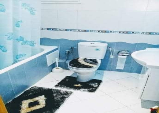 Excellent Apt S1 meublé Ennasr2 po