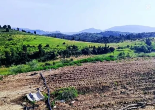 terrain À Vendre à ZAGHOUAN - terrain agricole à vendre - Immobiliere.tn - Photo 4