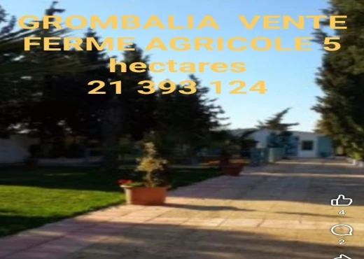 ferme À Vendre à NABEUL - A Vendre Ferme Grombalia - Immobiliere.tn