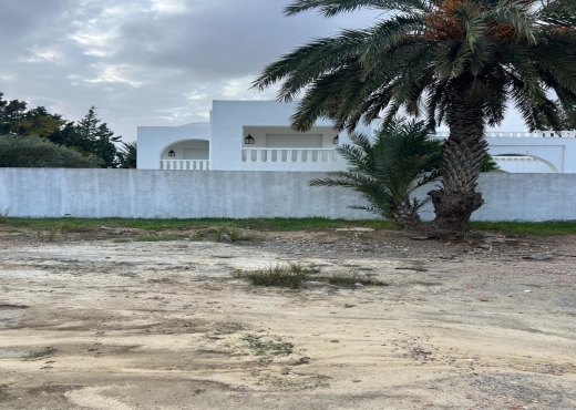 à vendre à hammamet