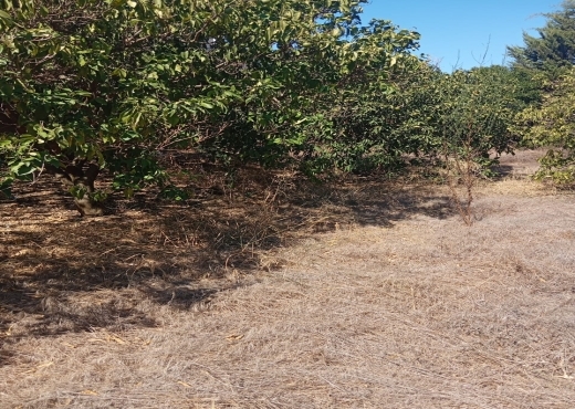 Ferme à vendre à Menzel Bourguiba, Bizerte 🏡