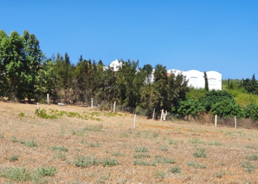 TERRAIN à Ezzahra Hammem ghzez174m