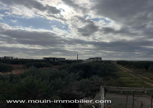 TERRAIN CLAUDIA Douikhla T1219