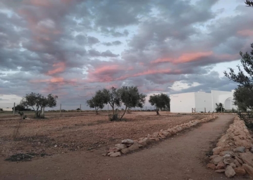 Ferme avec Villa a Borj El Amri