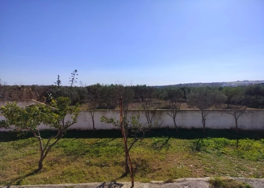 maison À Vendre à NABEUL - maison monchar +4000m² - Immobiliere.tn