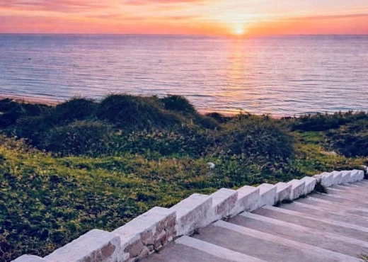 duplex À Louer à TUNIS - A louer Duplex à Gammarth - Immobiliere.tn