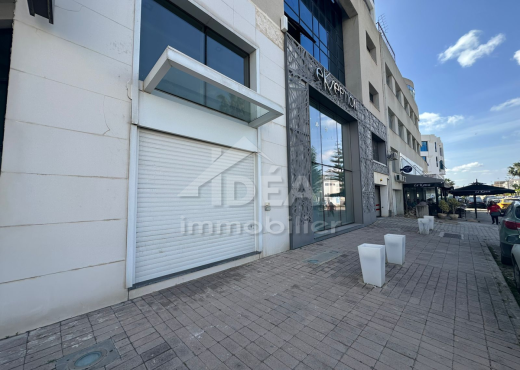 AL LOCAL COMMERCIAL AU LAC1