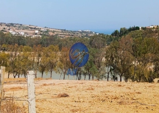 🌾 Terrain 4000 m² à Garia – Metline | Agricole