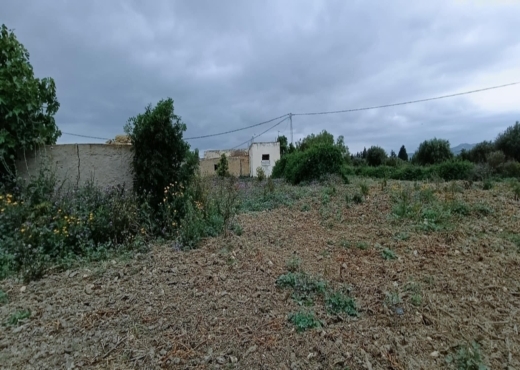 terrain agricole