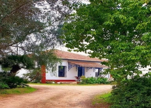 CEBELAT BEN AMMAR : TERRAIN A VENDRE