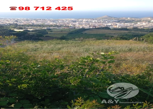 terrain À Vendre à BIZERTE - 📍 Terrain à vendre à EL NADHOUR – Rafraf - Immobiliere.tn - Photo 8